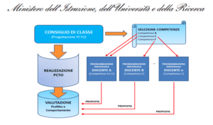 Specchietto riepilogativo dei processi del PCTO